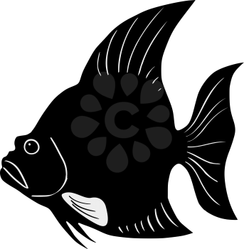 silhouette of the spadefish on white background