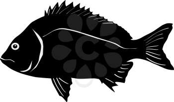 silhouette of the bream on white background