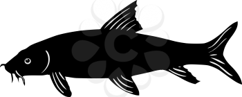silhouette of the barbel on white background