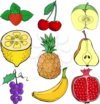 Set of sketch, vector, cartoon illustration of fruits
