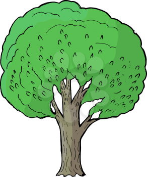 Hand drawn, vector, cartoon illustration of poplar