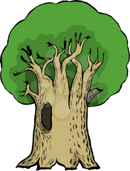 Hand drawn, vector, cartoon illustration of oak