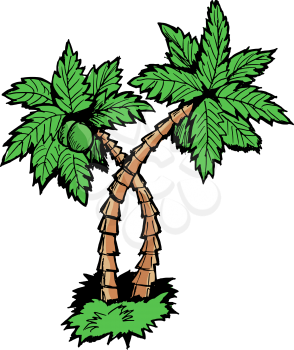 Hand drawn, vector, cartoon illustration of palm tree