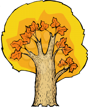 Hand drawn, vector, cartoon illustration of maple