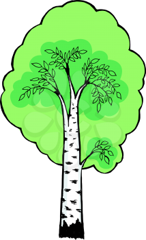 Hand drawn, vector, cartoon illustration of birch
