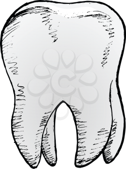 hand drawn, vector, sketch illustration of tooth