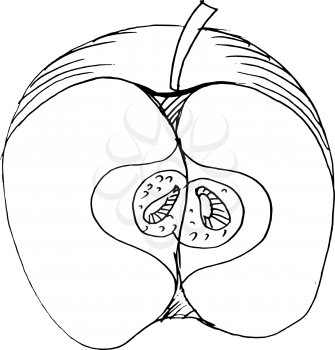 Hand drawn, vector, cartoon illustration of cutting apple
