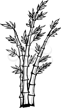 Hand drawn, vector, cartoon illustration of bamboo