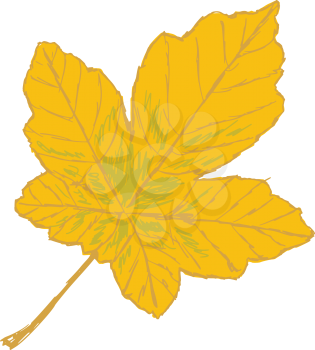 Royalty Free Clipart Image of a Yellow Leaf