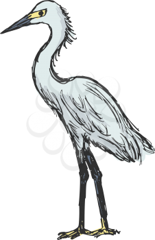 Royalty Free Clipart Image of a Heron