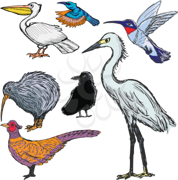 Royalty Free Clipart Image of a Set of Birds