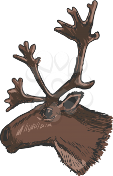 hand drawn, sketch illustration of head of reindeer