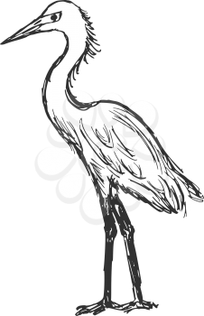 hand drawn, cartoon, sketch illustration of heron