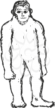 hand drawn, sketch, cartoon illustration of bigfoot