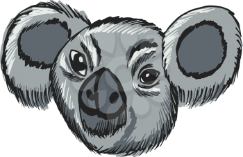 hand drawn, sketch, cartoon illustration of koala