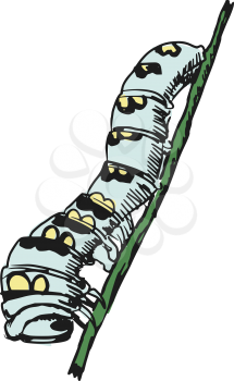 hand drawn, sketch, cartoon illustration of caterpillar