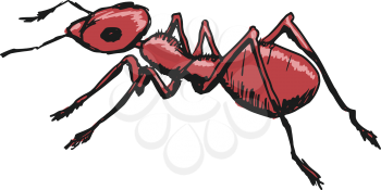 hand drawn, sketch, cartoon illustration of red ant