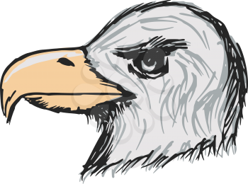 hand drawn, sketch, cartoon illustration of American bald eagle