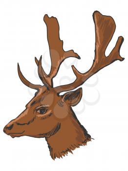 hand drawn, sketch, cartoon illustration of deer