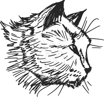 sketch, doodle, hand drawn illustration of cat