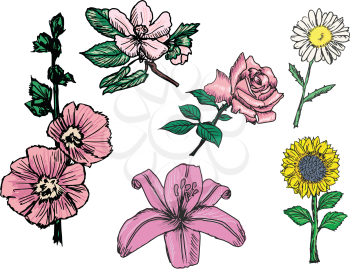 set of sketch, doodle illustrations of flowers