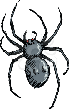 hand drawn, doodle, sketch illustration of spider