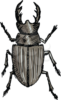 hand drawn, doodle, sketch illustration of stag-beetle