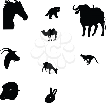 running cheetah,bear cub,silhouette of dromedary,silhouette of goat,silhouette of african buffalo,silhouette of rabbit,