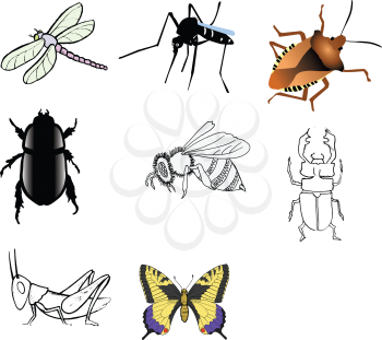 bug,Mosquito,Dragonfly,swallowtail,Grasshopper,stag-beetle,Sketch illustration of a bee
