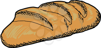 hand drawn, sketch illustration of long loaf

