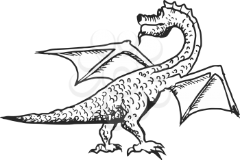 hand drawn, sketch illustration of dragon