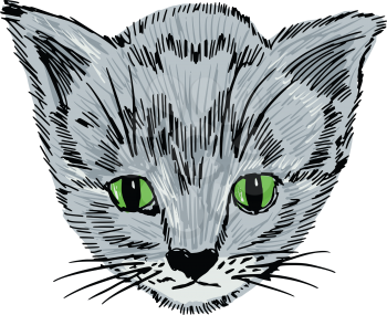 hand drawn, sketch illustration of kitten