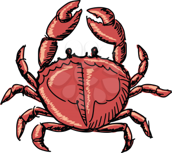 hand drawn, sketch, cartoon illustration of crab