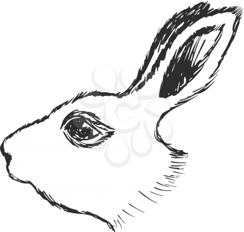 hand drawn, sketch, cartoon illustration of rabbit