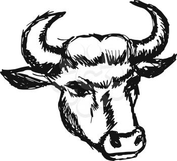 hand drawn, sketch, cartoon illustration of cow