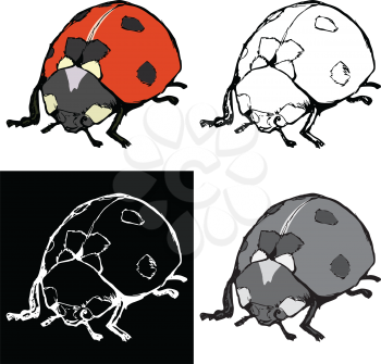 Editable vector illustrations in variations. Ladybird