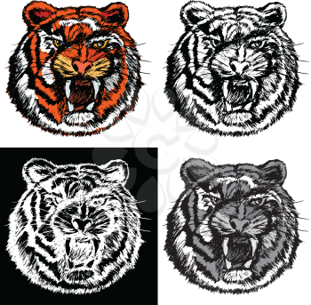 Editable vector illustrations in variations. Tiger