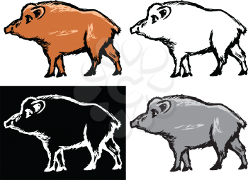 Editable vector illustrations in variations. Wild boar