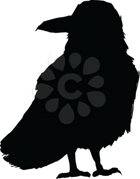 black silhouette of raven