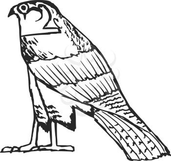 sketch illustration of falcon, ancient Egyptian symbol