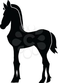silhouette of foal