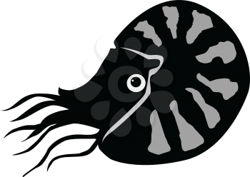 silhouette of nautilus