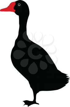 silhouette of goose