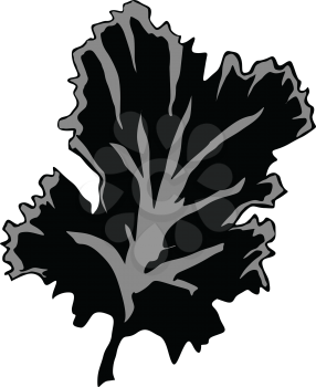 silhouette of seaweed