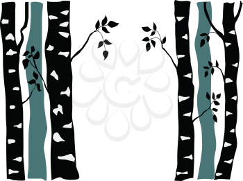 silhouette of birch