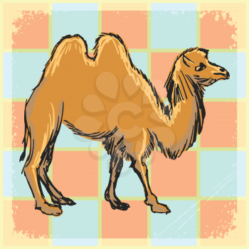 vintage, grunge background with camel