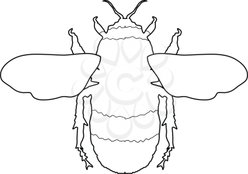 outline illustration of bumblebee, insect