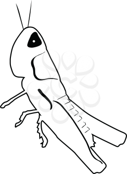 outline illustration of green grasshopper