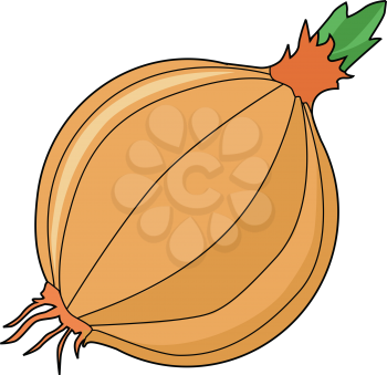 vector illustration of onion, ingredient for meals