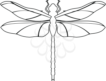outline illustration of dragonfly, top view